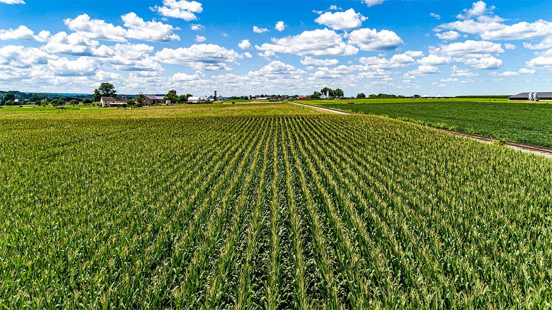 Ag drones in Statenville